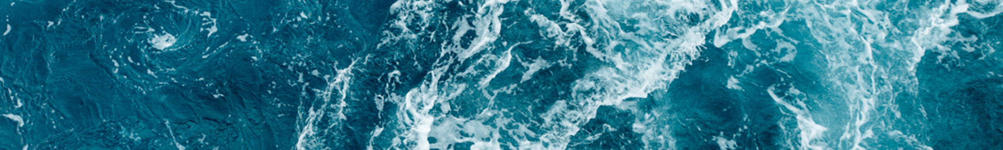 Environmental Services Headerbillede Ny